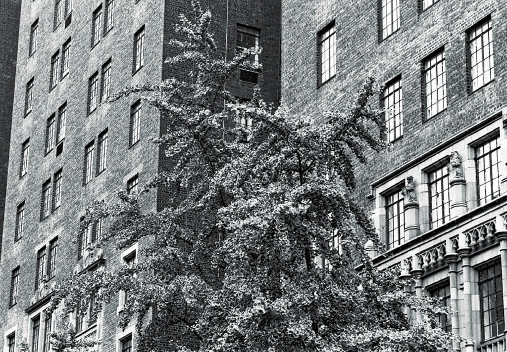 1 New York Times Plaza, NY 11356 - © Tom de Peyret