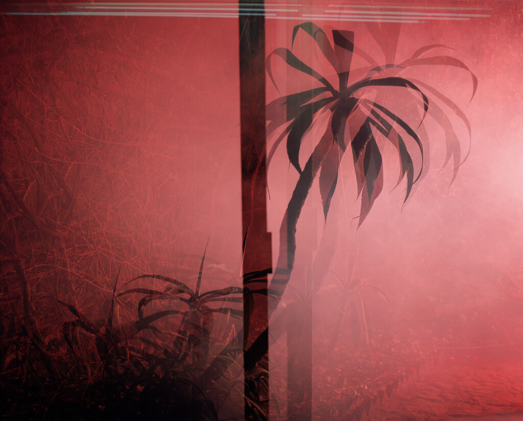 Arpa - © Tom de Peyret