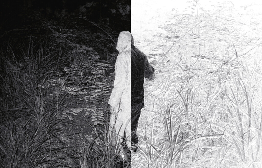 Arpa2 - © Tom de Peyret