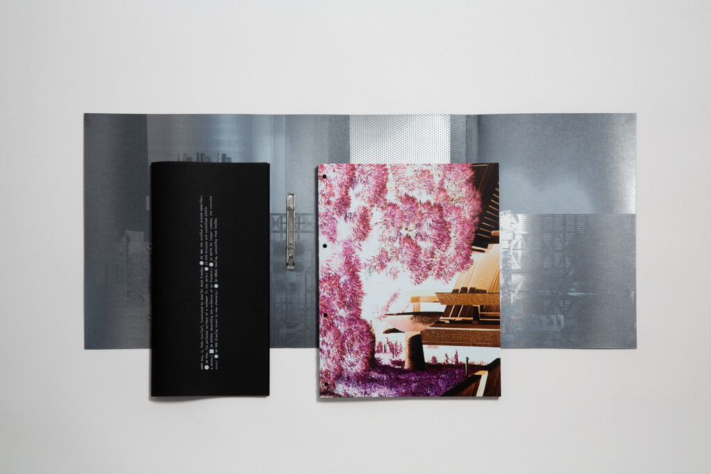 Arpa2 - © Tom de Peyret