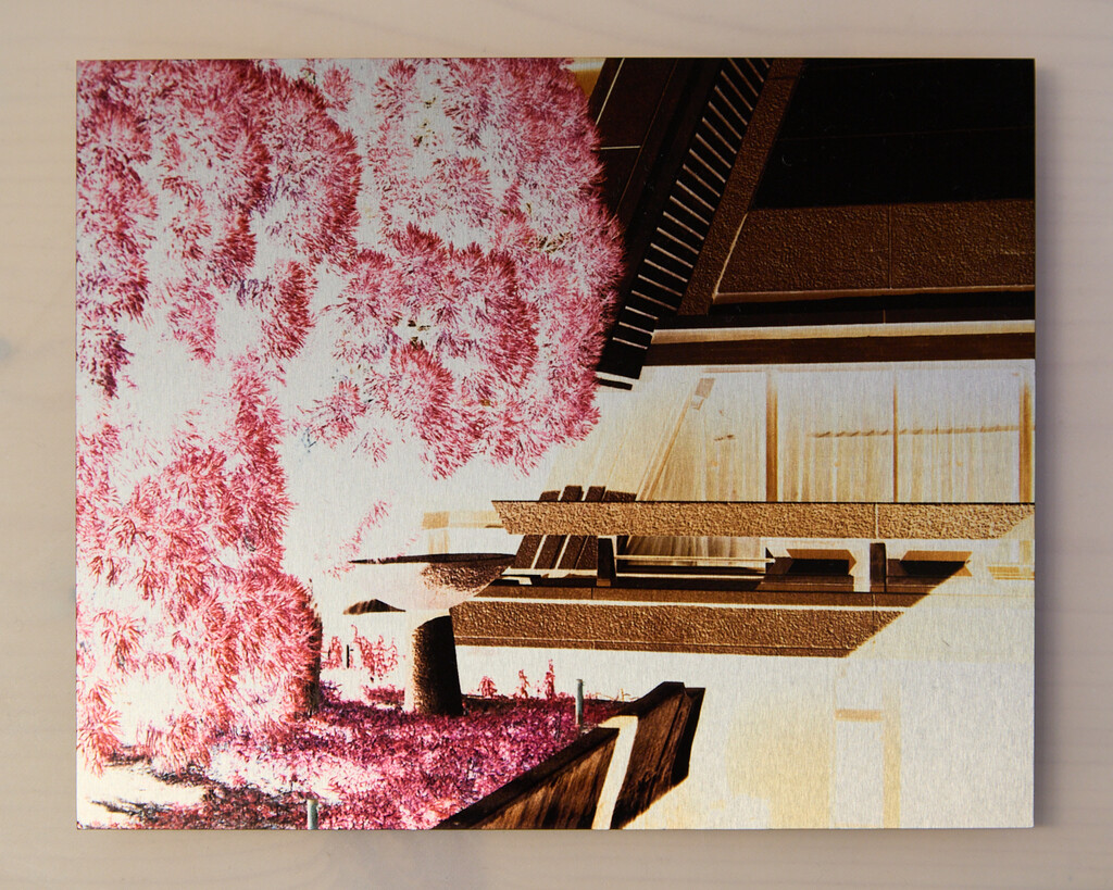 Arpa2 - © Tom de Peyret