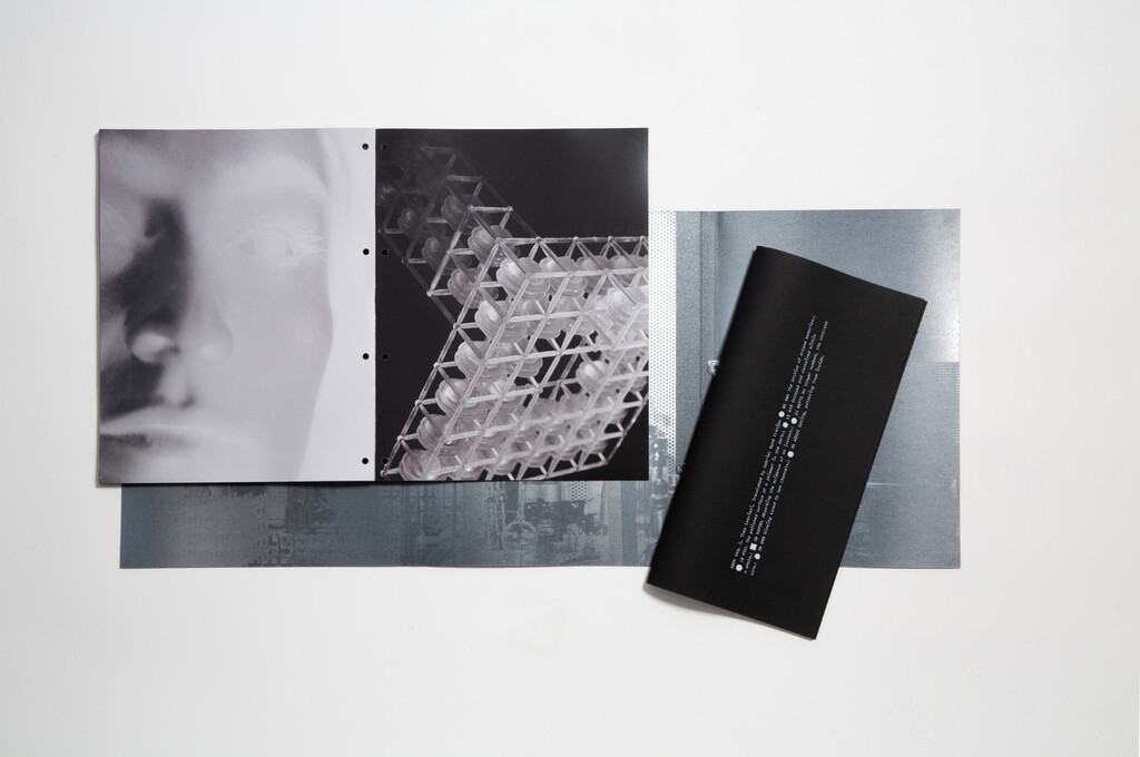 Arpa2 - © Tom de Peyret