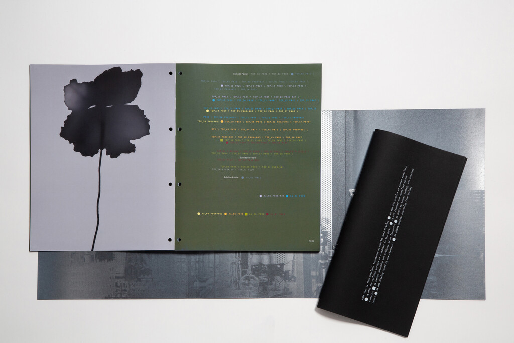 Arpa2 - © Tom de Peyret