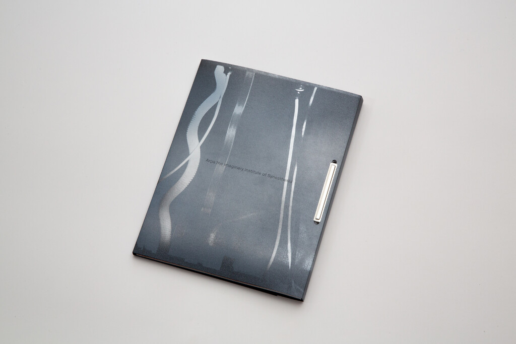 Arpa2 - © Tom de Peyret