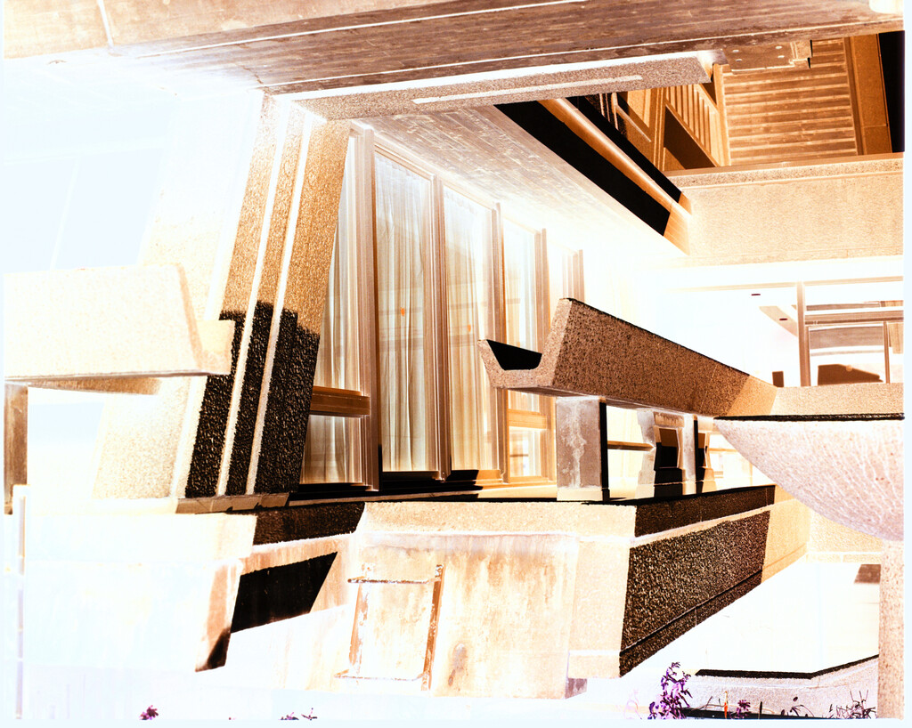 Arpa2 - © Tom de Peyret