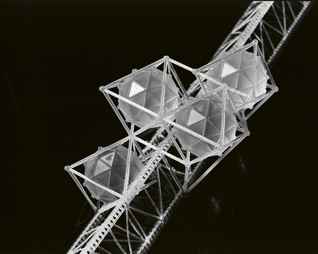 Arpa2 - © Tom de Peyret