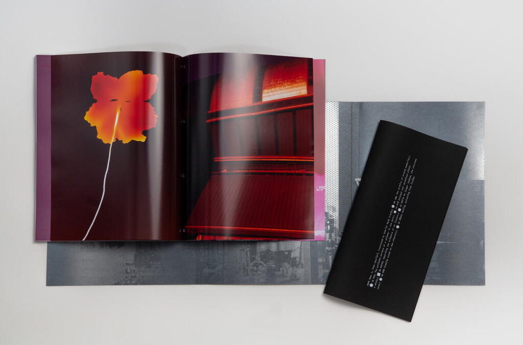 Arpa2 - © Tom de Peyret