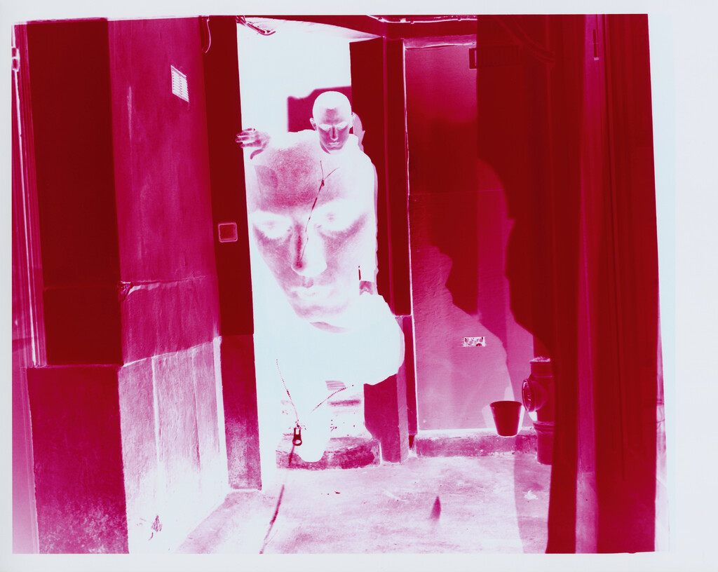 Arpa2 - © Tom de Peyret