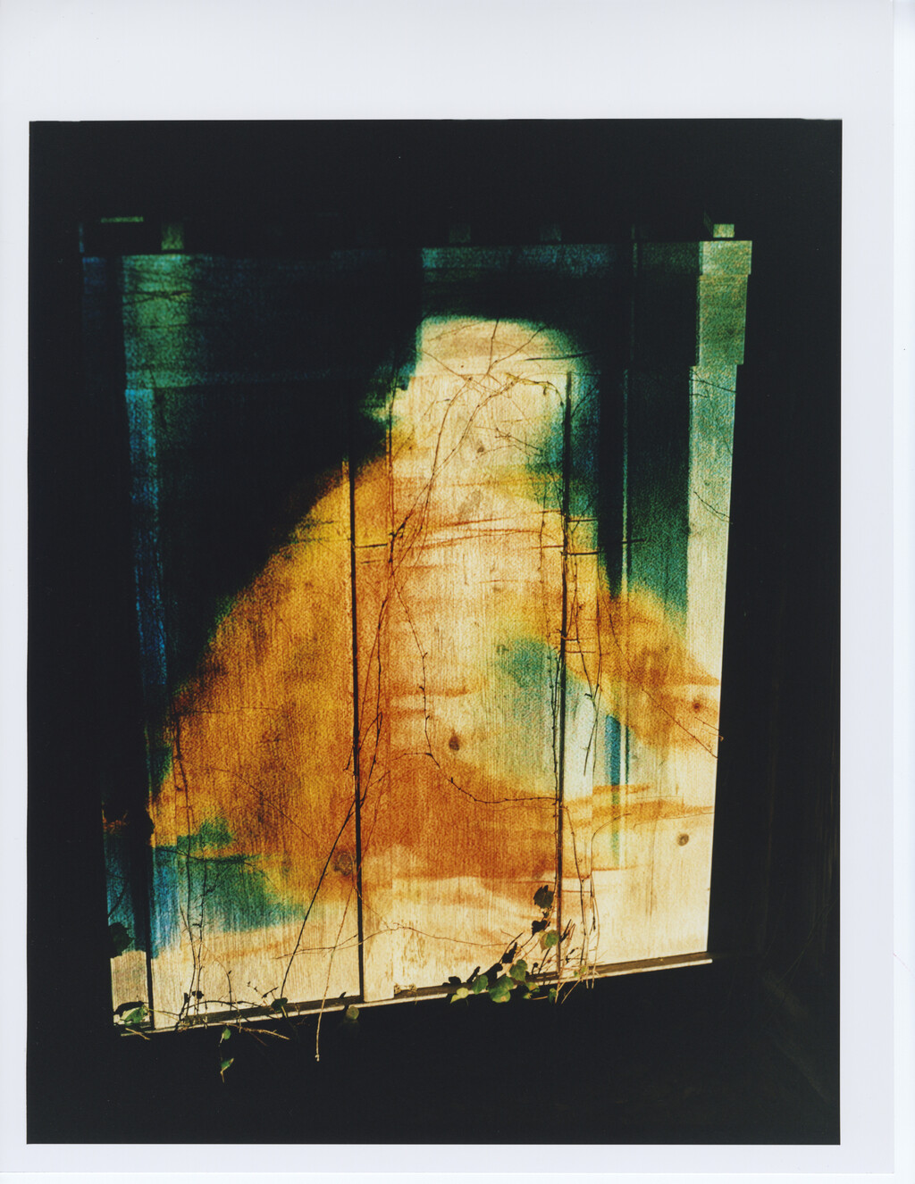 Arpa2 - © Tom de Peyret