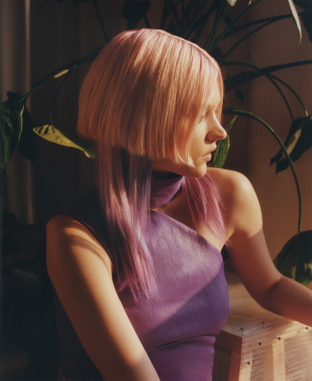 CAP74024 - © Tom de Peyret