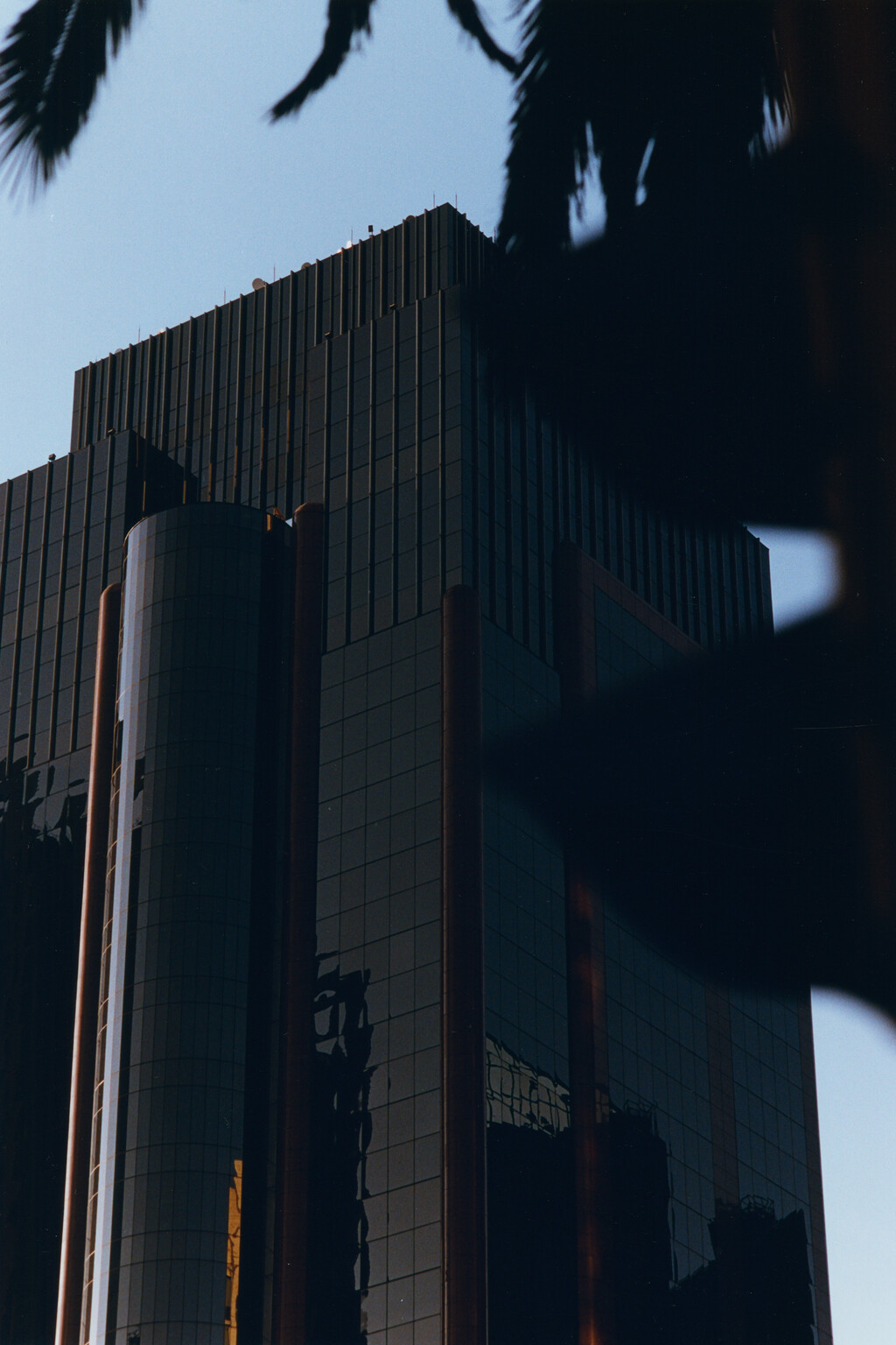 Etudes - © Tom de Peyret