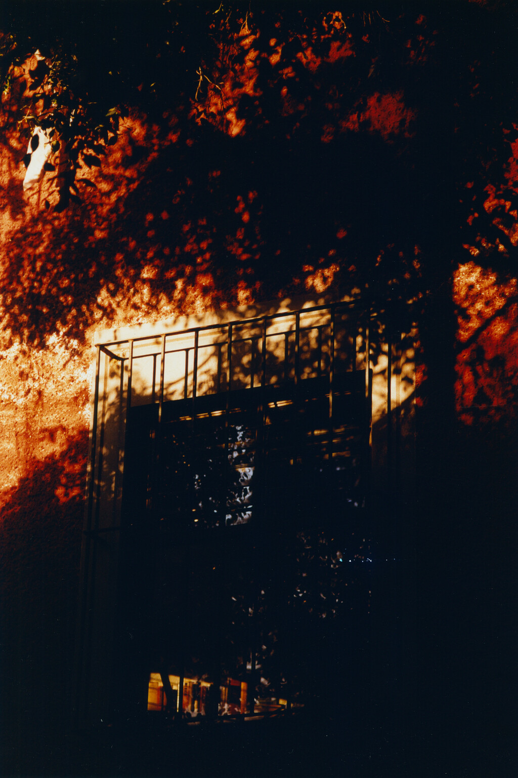 Etudes - © Tom de Peyret