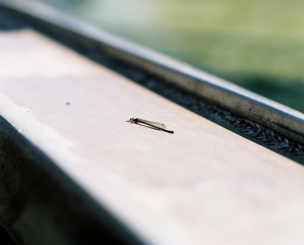 KLIMA - © Tom de Peyret