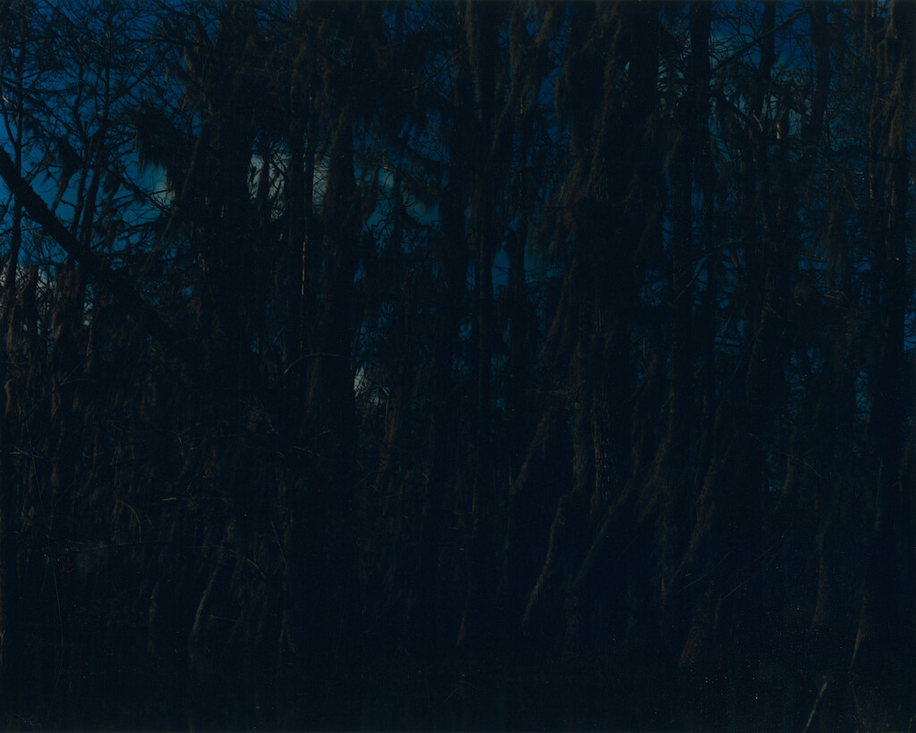 KLIMA - © Tom de Peyret