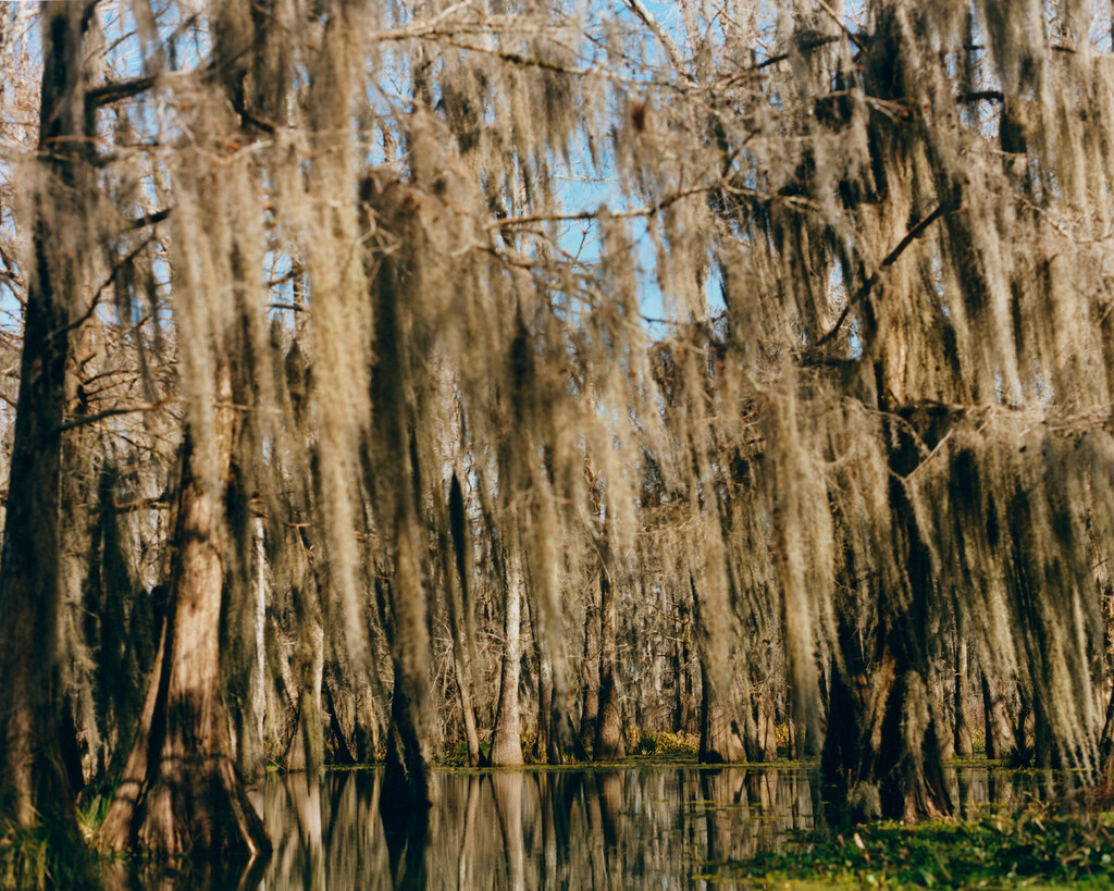 KLIMA - © Tom de Peyret