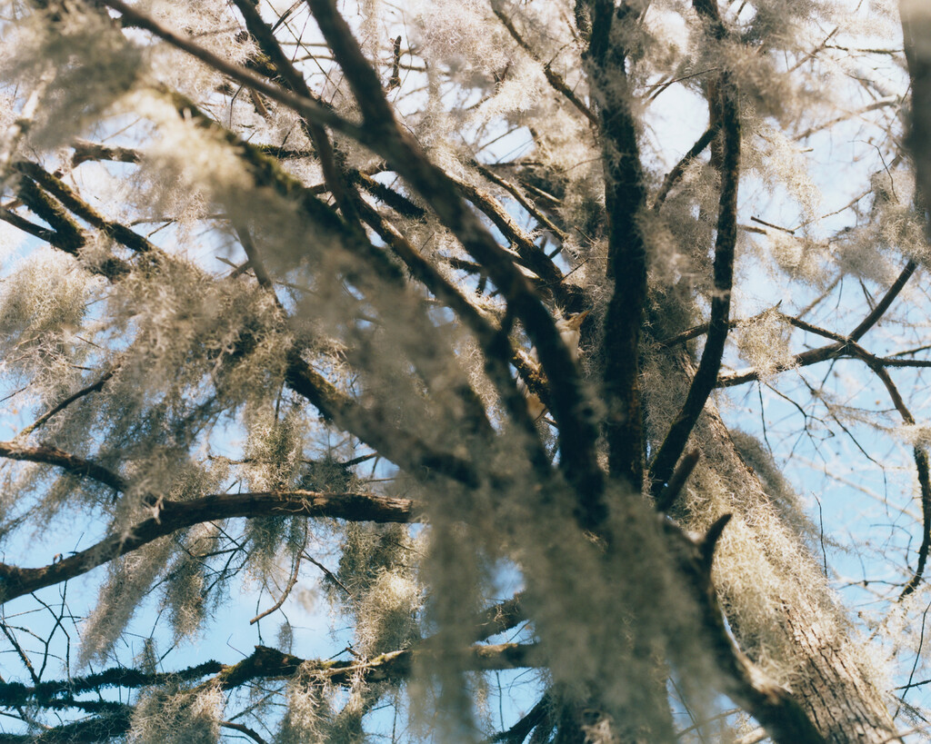 KLIMA - © Tom de Peyret