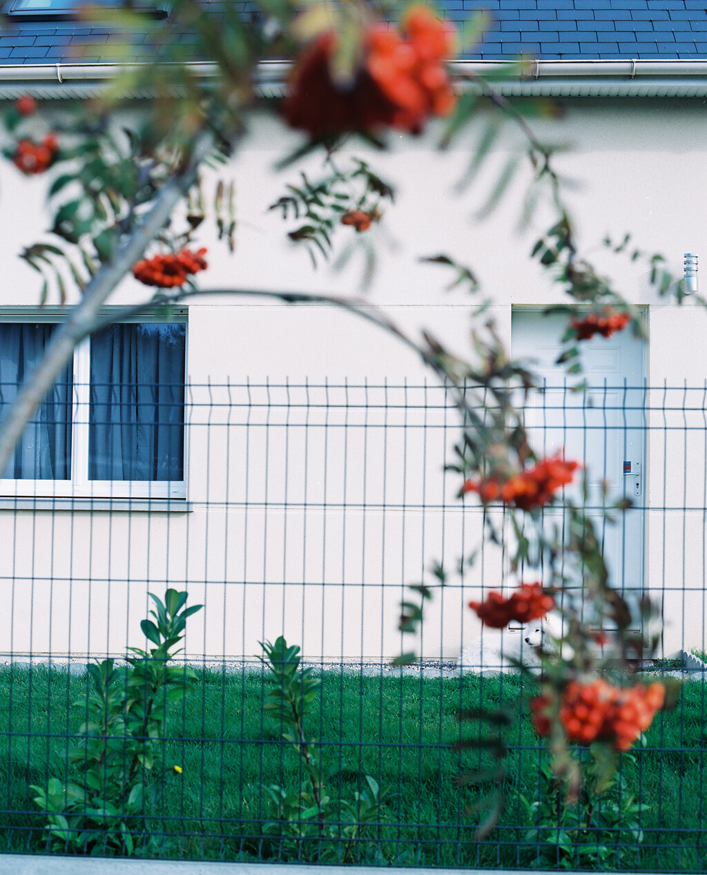 M le Monde - © Tom de Peyret