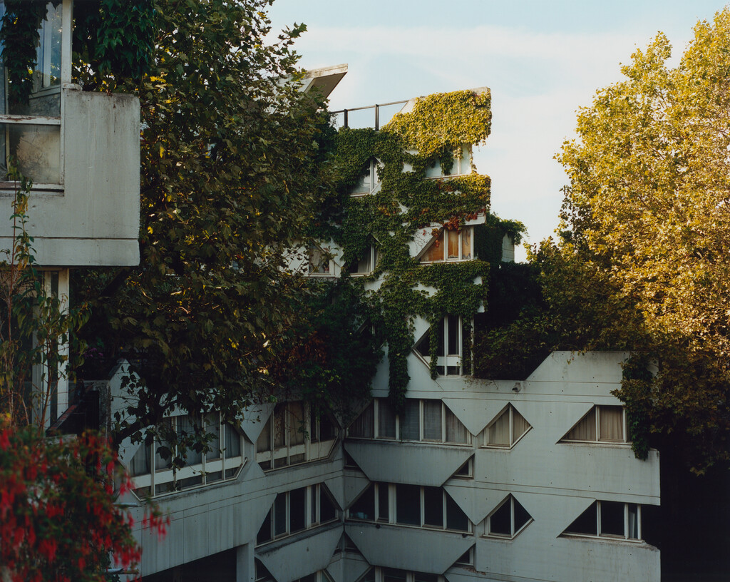 M Le Monde - © Tom de Peyret