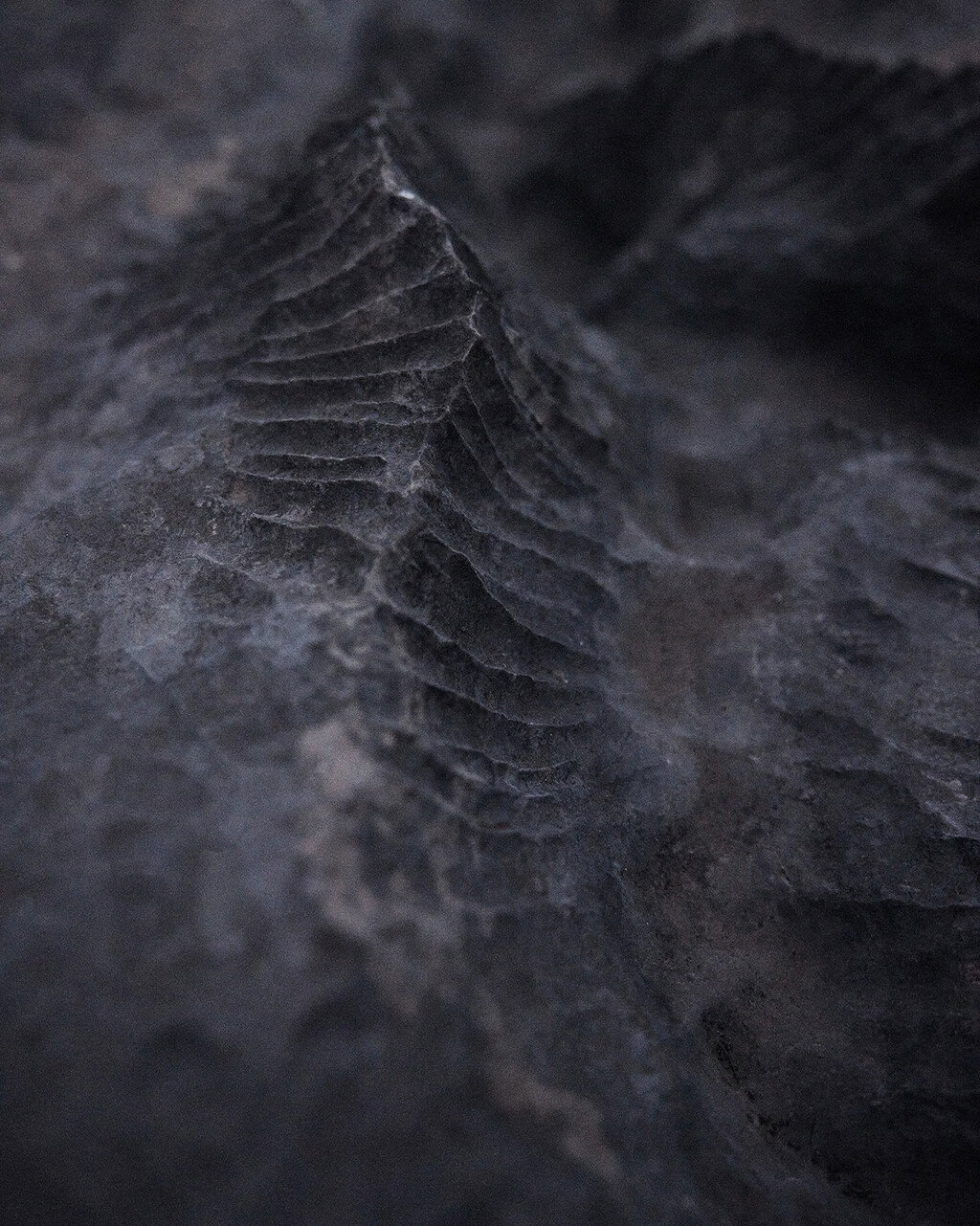 NNORMAL - © Tom de Peyret