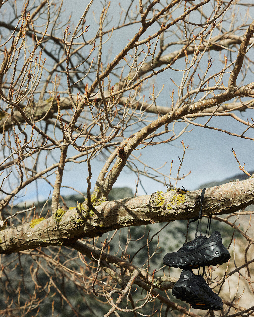 NNORMAL - © Tom de Peyret