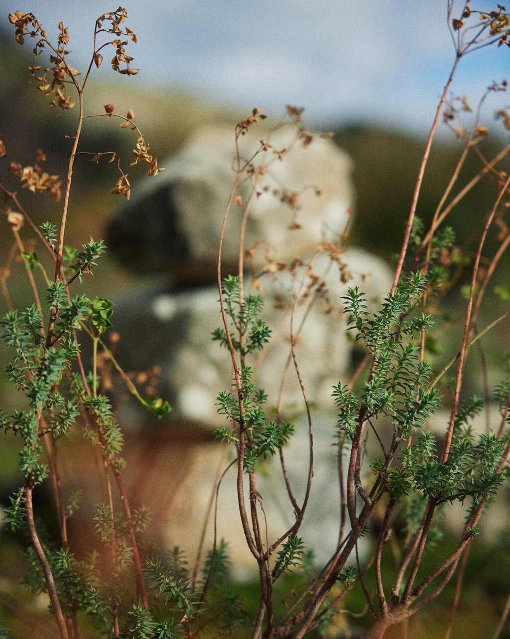 NNORMAL - © Tom de Peyret