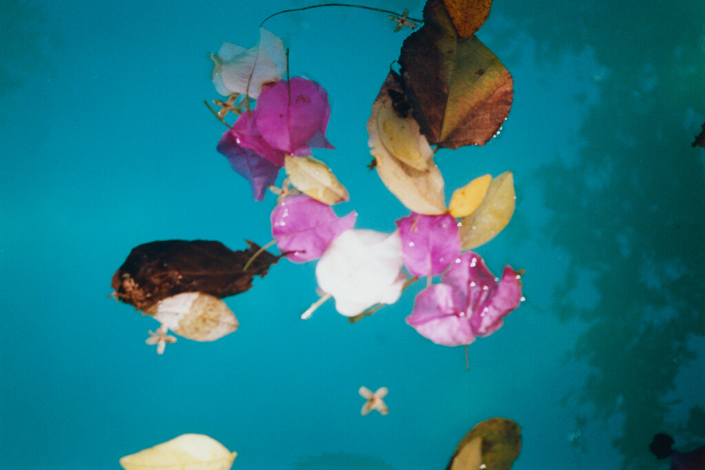 Oaxaca - © Tom de Peyret