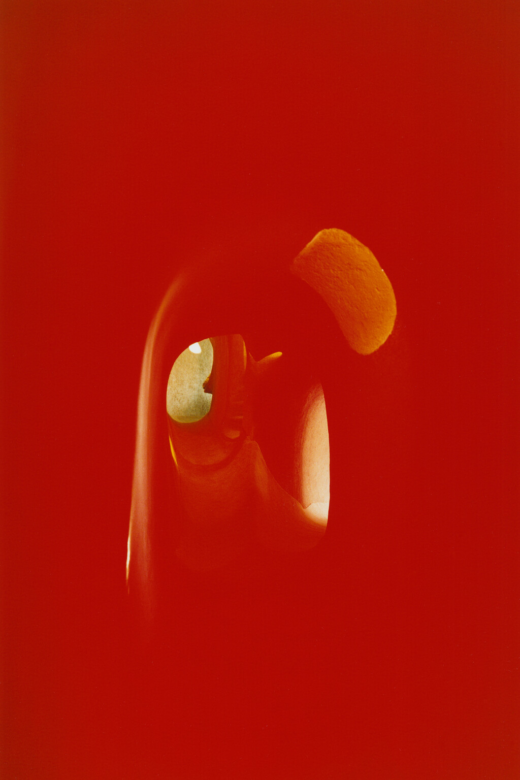 Revue - © Tom de Peyret