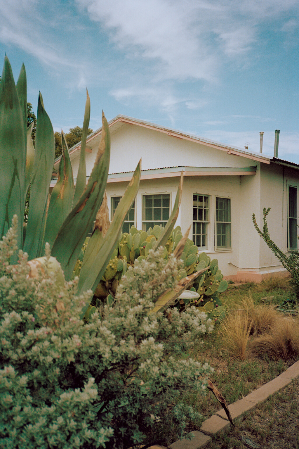 Revue - © Tom de Peyret