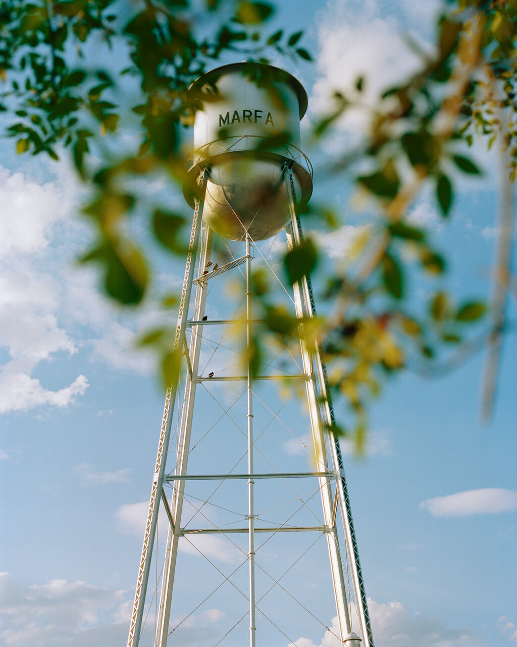 Revue - © Tom de Peyret