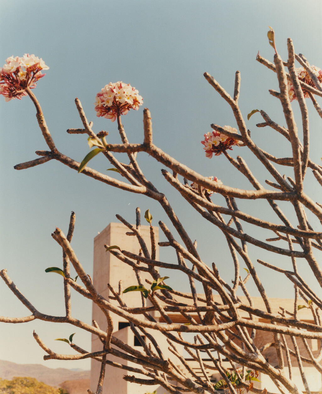 Terrestre Hotel - © Tom de Peyret