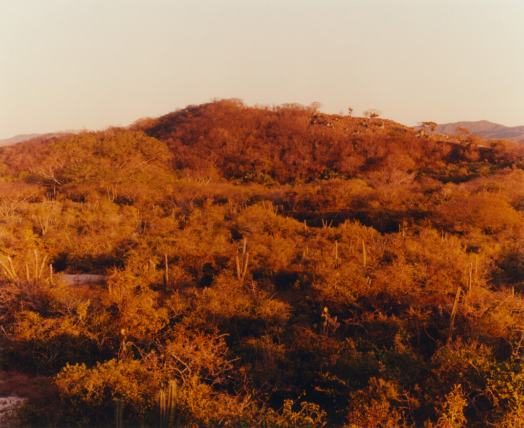 Terrestre Hotel - © Tom de Peyret