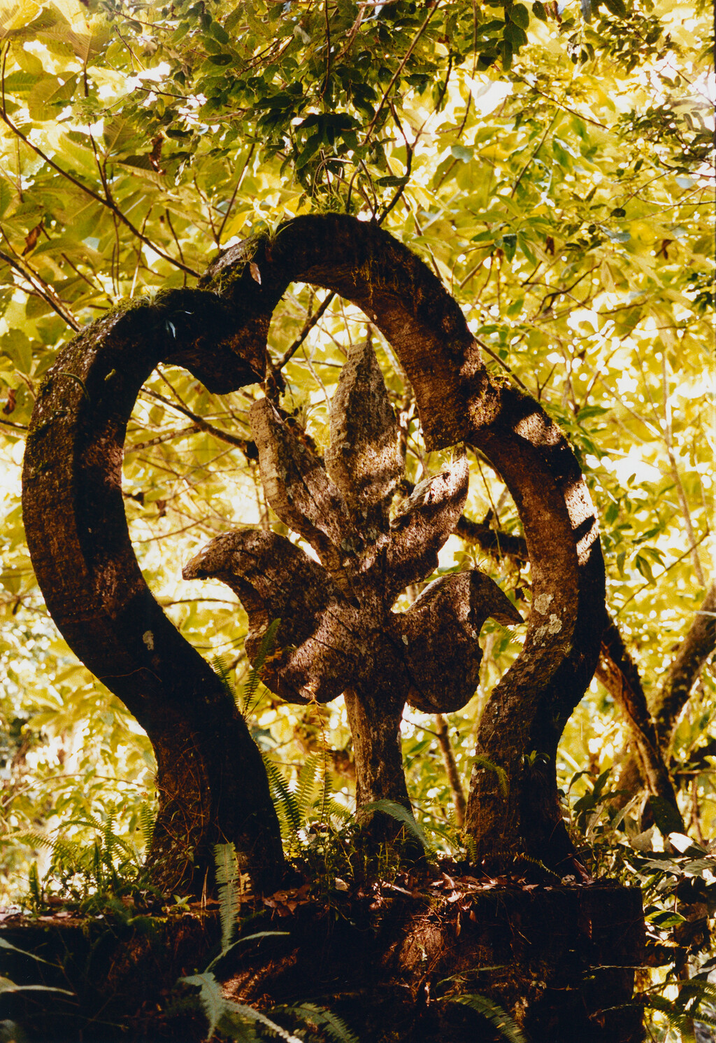 M le Monde - © Tom de Peyret