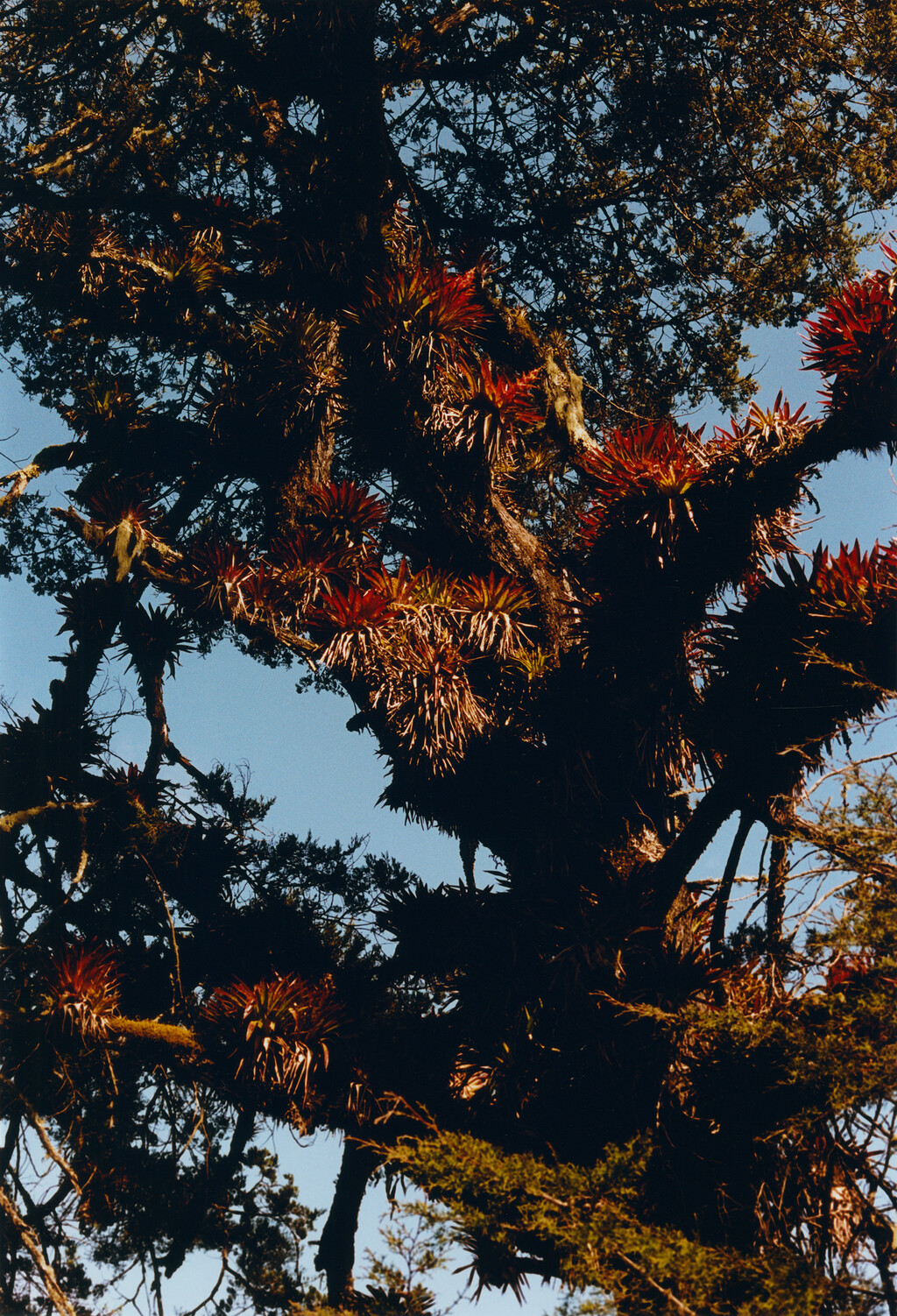 M le Monde - © Tom de Peyret