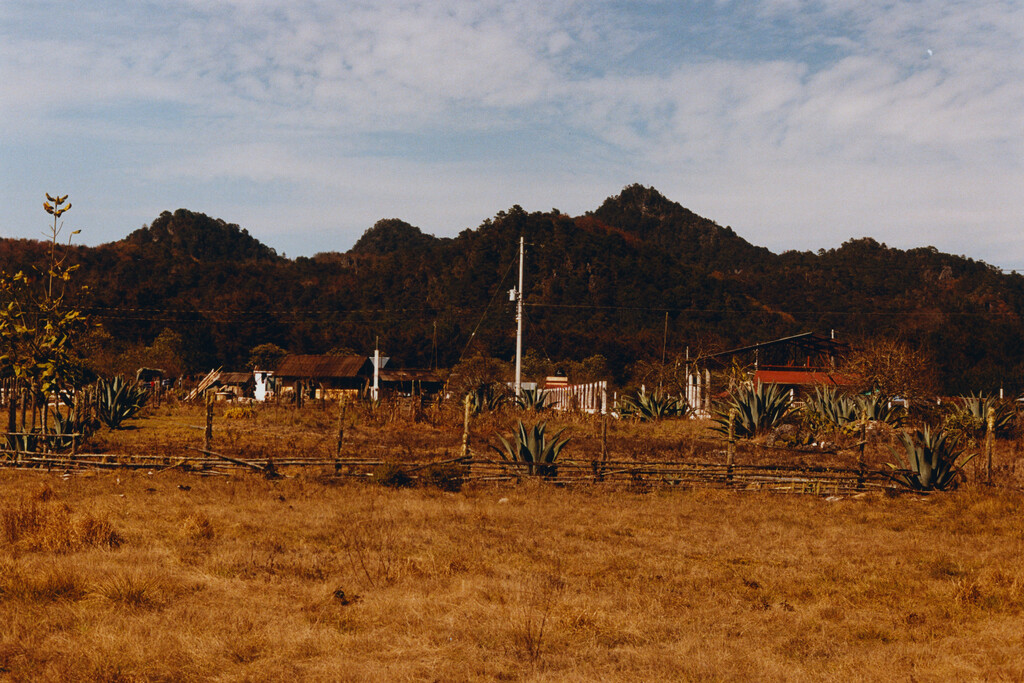 M le Monde - © Tom de Peyret