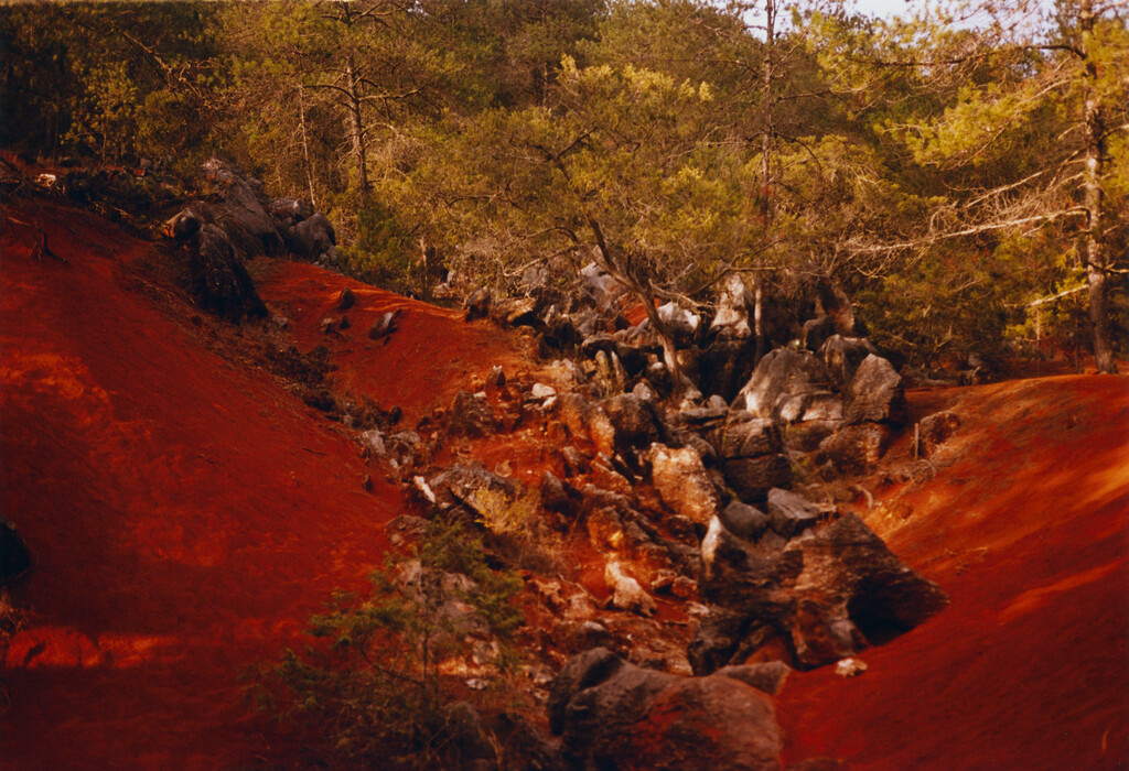 M le Monde - © Tom de Peyret