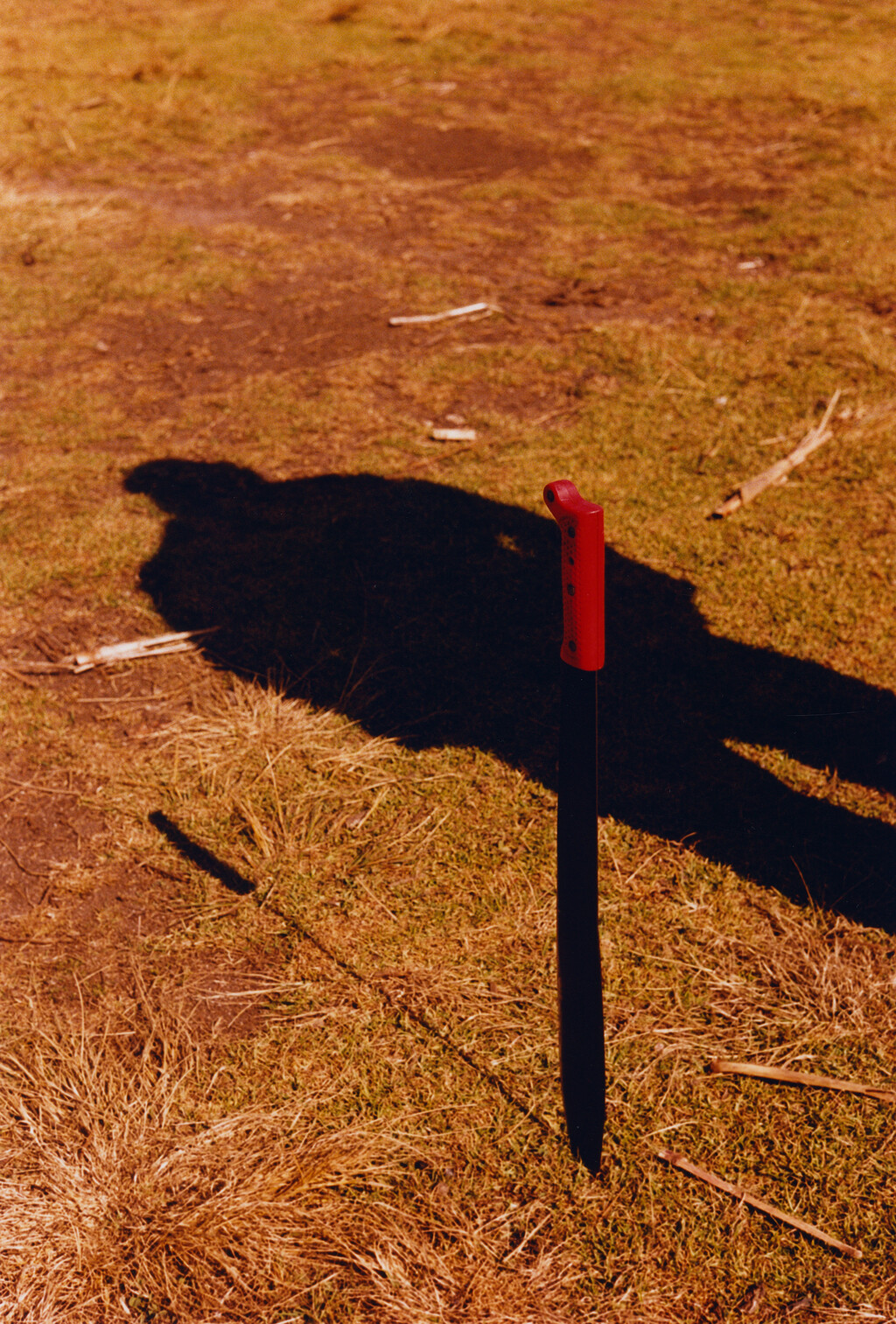 M le Monde - © Tom de Peyret