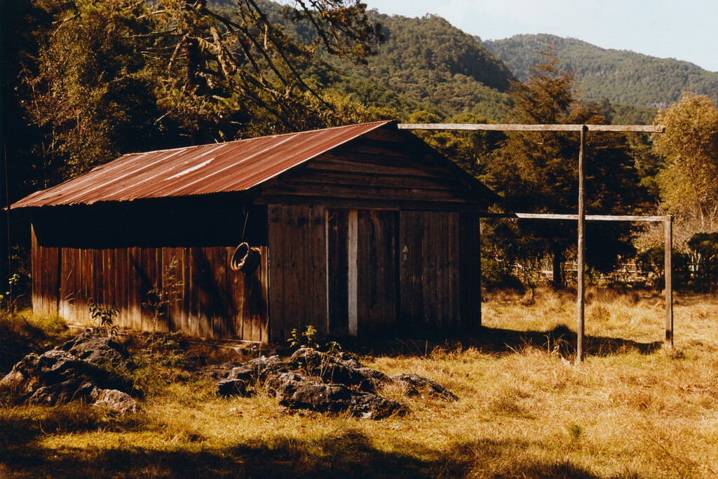 M le Monde - © Tom de Peyret